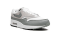 Air Max 1 "White Mica Green" DZ4549 100