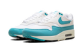 Air Max 1 WMNS "Blue" DZ2628 107