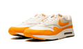 AIR MAX 1 '86 OG GOLF "Bright Ceramic" DV1403 118
